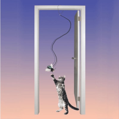 Spot Buzz Insectos 12,5 cm