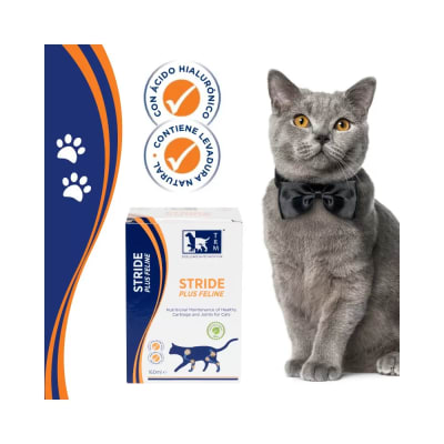 Stride para Movilidad de Gatos 200 ml1