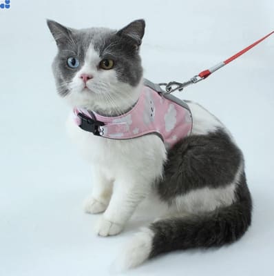 Pechera Gato Rosada con Correa1