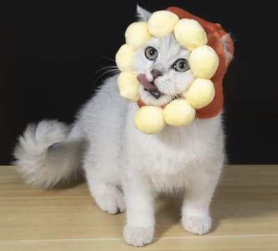 Gorro Flor