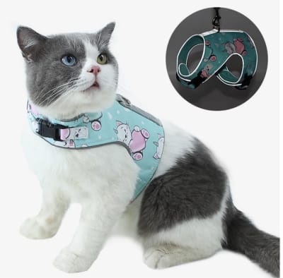 Pechera Gato Celeste con Correa1