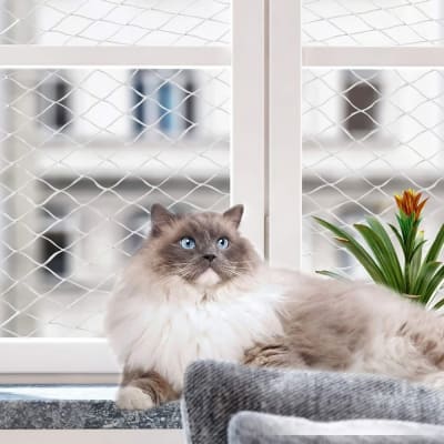 malla seguridad ventana wonder cat1