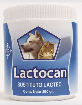 Lactocan 250 gr Perros y Gatos