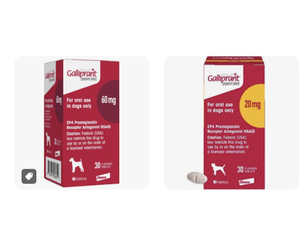 Galliprant 30 Comprimidos Posta Veterinaria PM