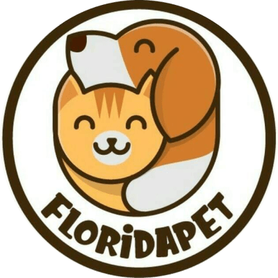 ARENA CAT ZONE LAVANDA