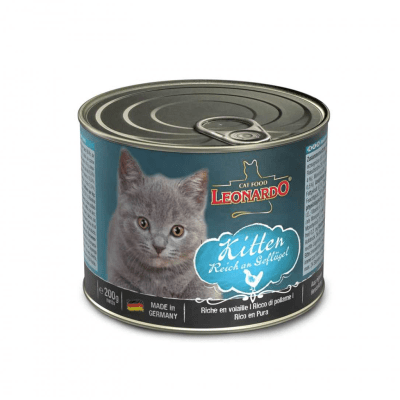 LEONARDO LATA KITTEN