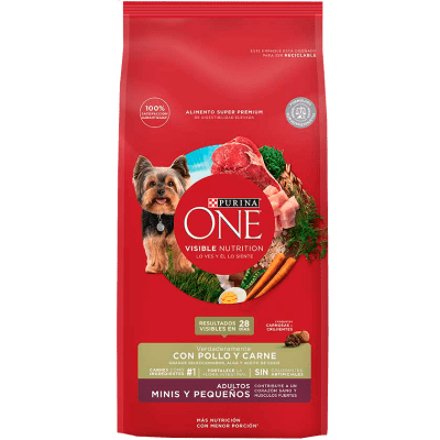 Purina ONE DOG ADULT SMALL CARNE1