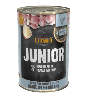 BELCANDO LATA JUNIOR