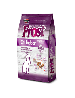 FROST CAT INDOOR