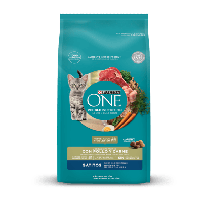 Purina ONE CAT GATITO1