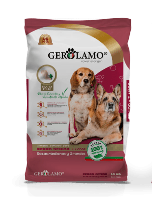 GEROLAMO DOG SENIOR MED/GRAND