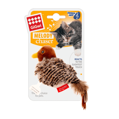 PAJARO MELODY CHASER1