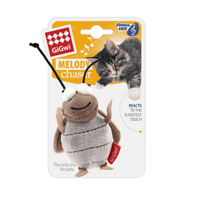 GRILLO MELODY CHASER1