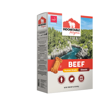 INDOMITABLE GRAIN FREE BEEF
