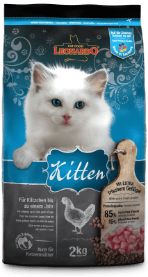 LEONARDO KITTEN1