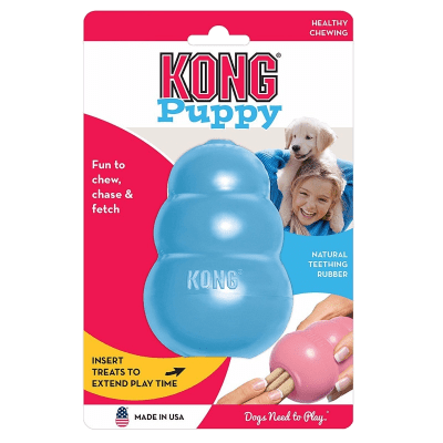 KONG PUPPY1