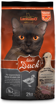 LEONARDO ADULT DUCK1