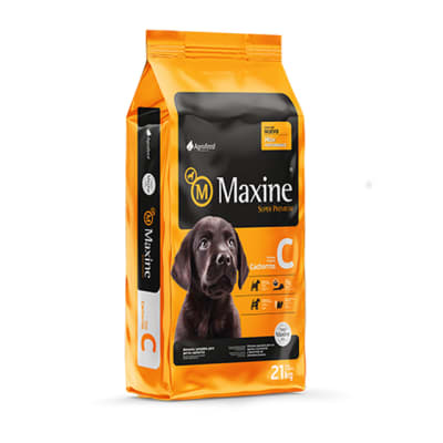 MAXINE CACHORRO