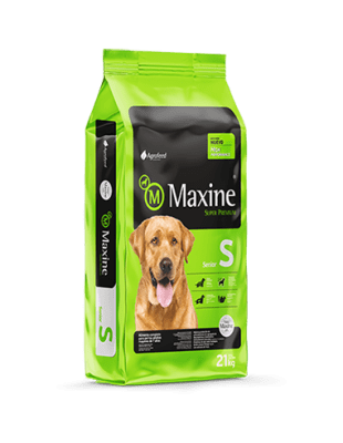 MAXINE SENIOR