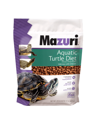 MAZURI AQUATIC TURTLE