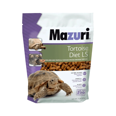 MAZURI TORTOISE