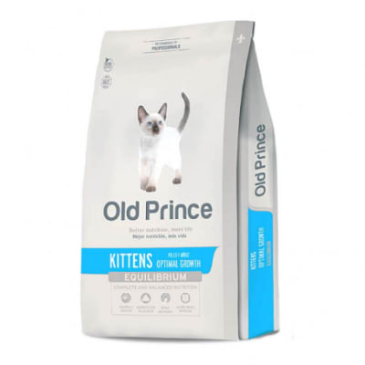 OLD PRINCE GATO KITTEN