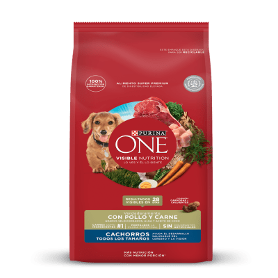 Purina ONE DOG CACHORRO1