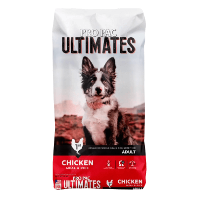 Pro Pac CHICKEN&BROWN RICE PERRO1