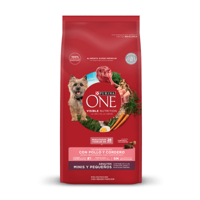 Purina ONE DOG ADULT SMALL CORDERO1
