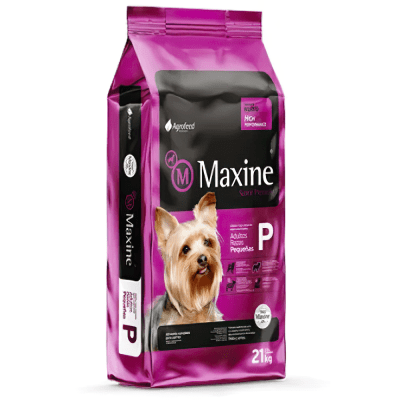 MAXINE ADULTO RAZA PEQUEÑA