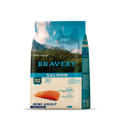 BRAVERY SALMON MINI ADULTO