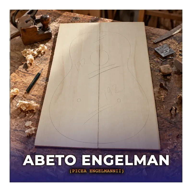 collection abeto engelmann