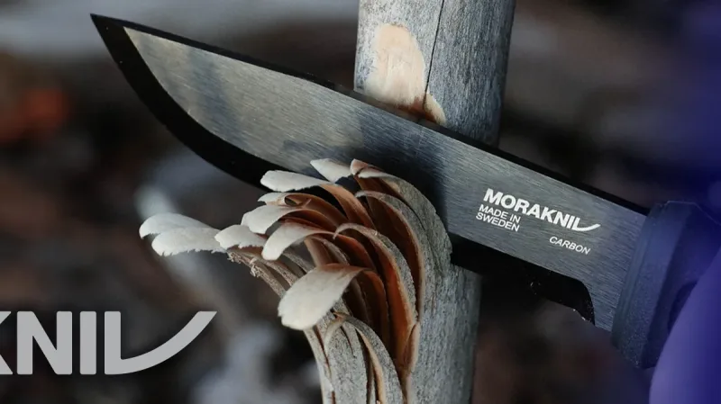 collection morakniv