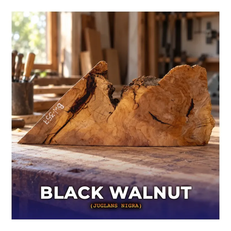 collection black walnut canadiense