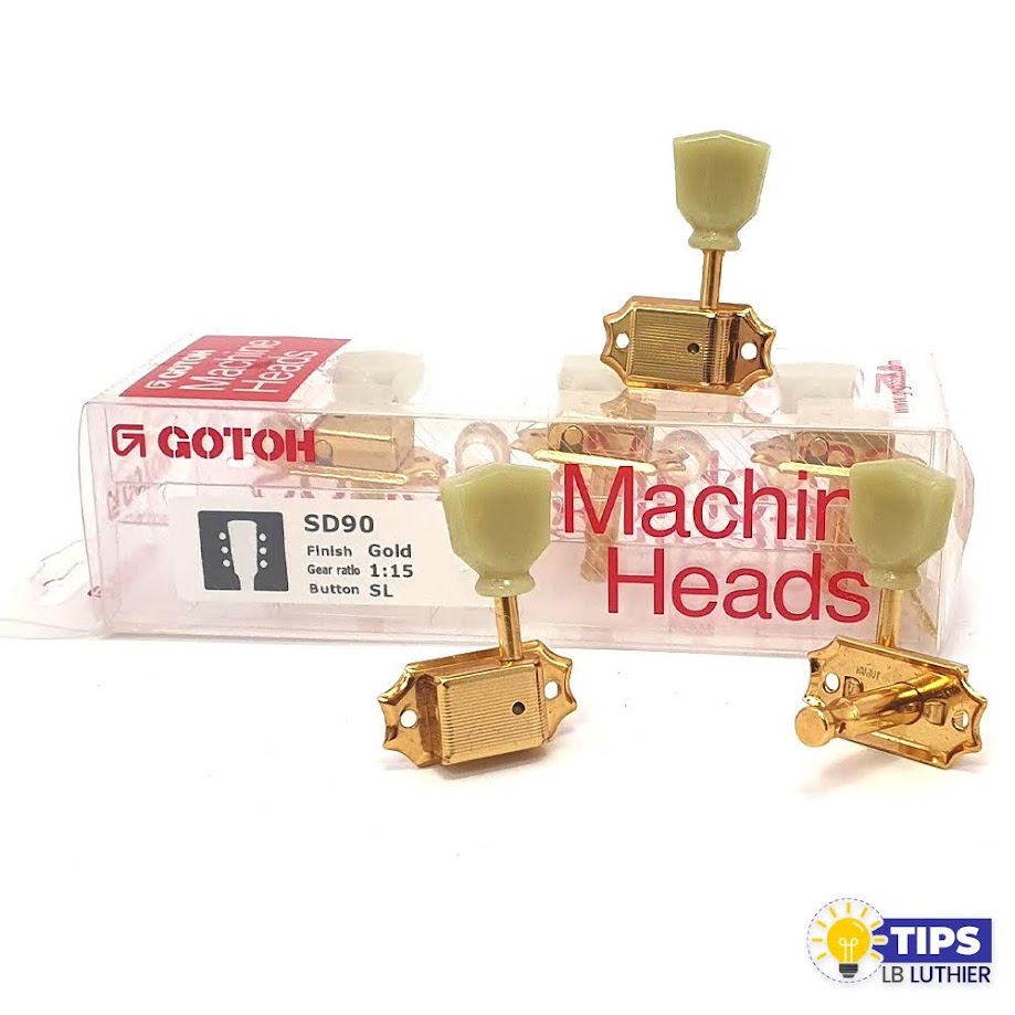 clavijero gotoh dorado