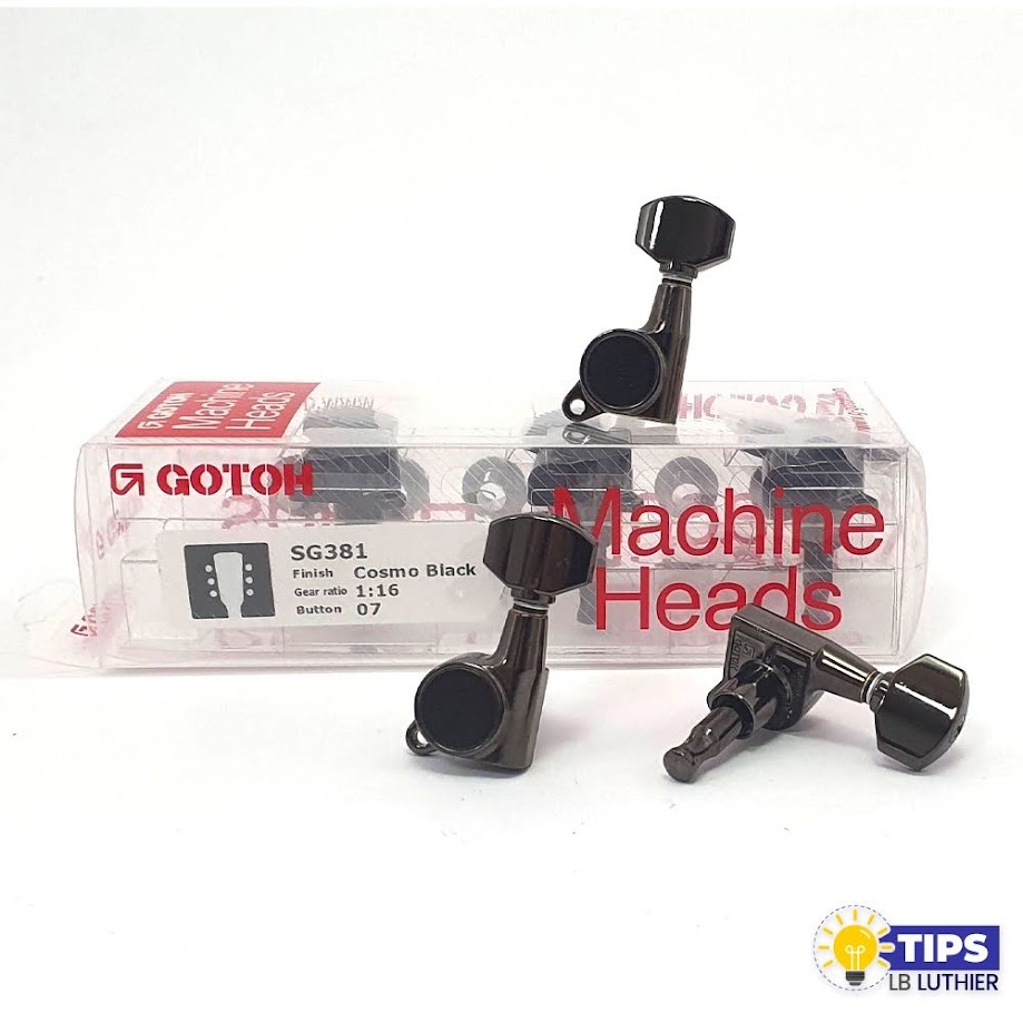 clavijero gotoh negro