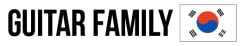 guitar family