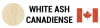 WHITE ASH CANADIENSE