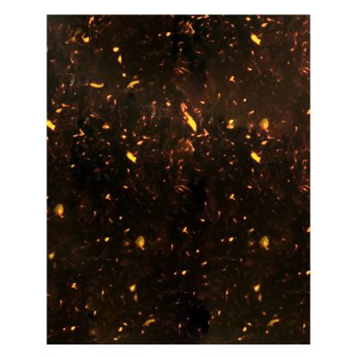 Lamina para Pickguard 300 x 450 mm. Mod: PC-TOR-PR. Color: Brown Pearloid. 4-ply 