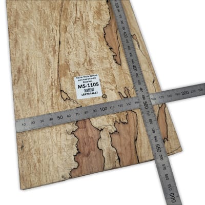 Top Unico MS-1105 de Spalted Maple para Bajos y Guitarras Electricas Calidad Especial