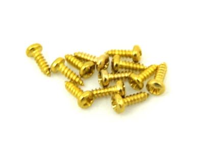 Tornillos para Clavijeros. Gold (100pcs)1