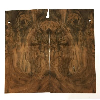 Chapa de Raiz de Walnut. Mod: 031