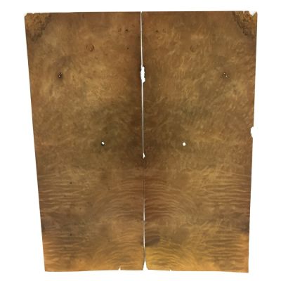 Raiz de Arbol Myrtle. Mod: 11