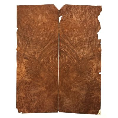 Raiz de Redwood Ref 1 67 cm x 25 cm x 0.6mm (x2)1
