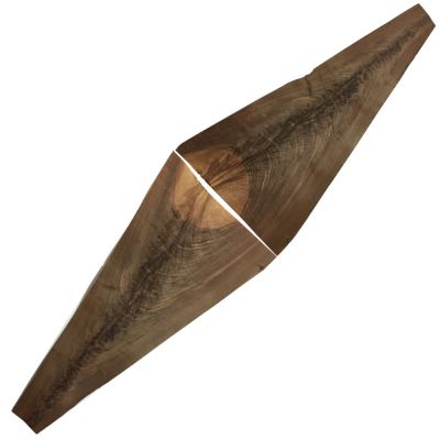 Chapa de Raiz de Palma de Nogal1