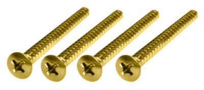 Tornillos para Neckplate. Mod: TS-03. Gold (4 pcs)
