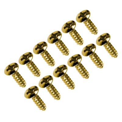 Set de Tornillos para Pickguard. Gold. Mod: TS-01