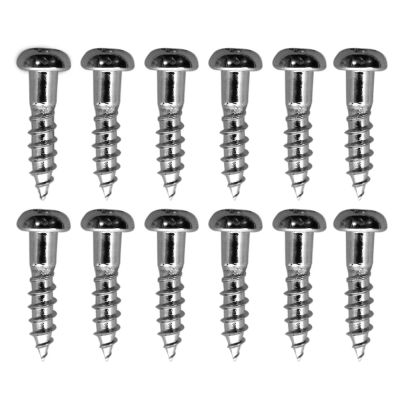 Tornillos para Clavijero. Chrome WS-02 (12 pcs)