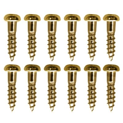 Tornillos para Clavijero. Gold WS-02 (12 pcs)1