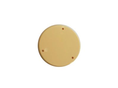 Back Plate Switch para Gibson Les Paul. Beige